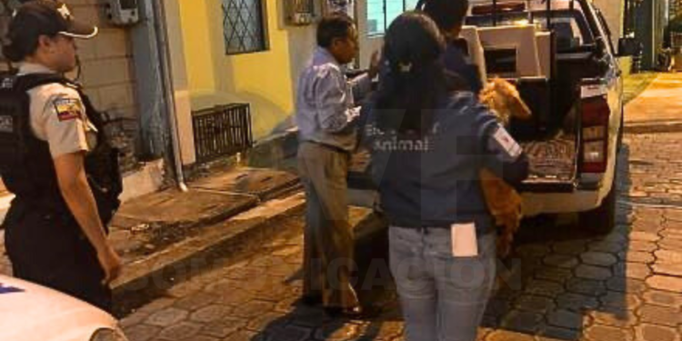 Adulto mayor enfrenta una multa de 20 salarios básicos por maltrato animal en Quito