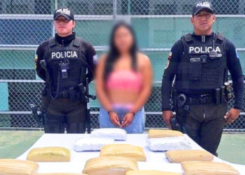 Cerca de 15 000 dosis de marihuana se decomisaron en Llano Grande,Quito