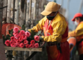 La exportación de flores desde Ecuador creció un 8,7%