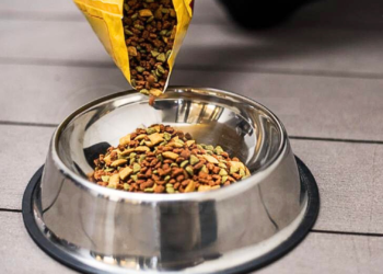 El IVA de alimentos para mascotas se elimina desde este 1 de febrero