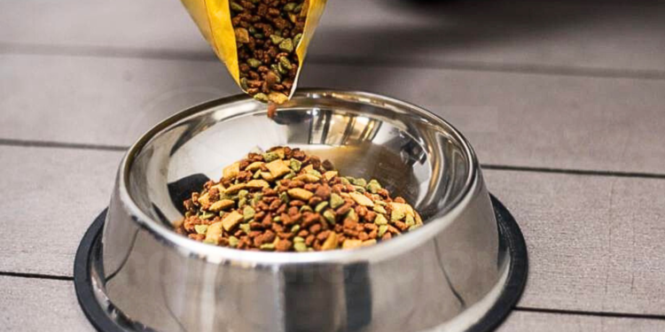 El IVA de alimentos para mascotas se elimina desde este 1 de febrero