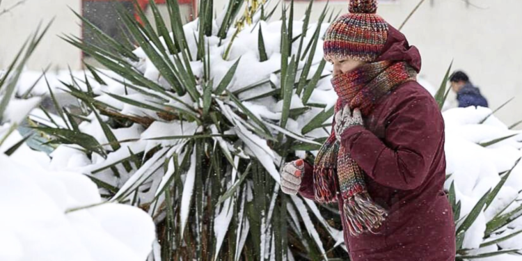 EE.UU. y Europa están en alerta por nueva ráfaga de frío extremo