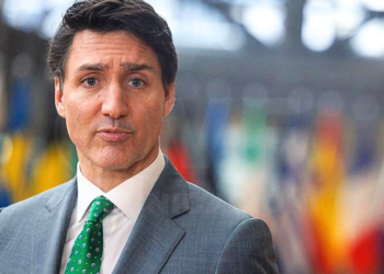 Canadá declara terroristas a los carteles de la droga mexicanos