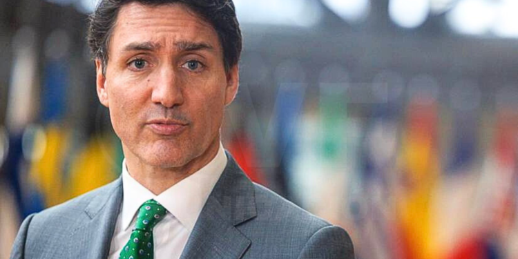 Canadá declara terroristas a los carteles de la droga mexicanos