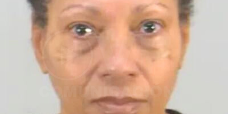 Mujer es acusada de ahogar a su perro tras no poder viajar con él