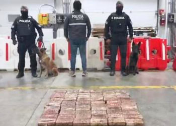 Policía frena envío de 6 millones de dosis de cocaína a Bélgica