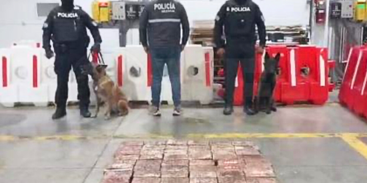 Policía frena envío de 6 millones de dosis de cocaína a Bélgica