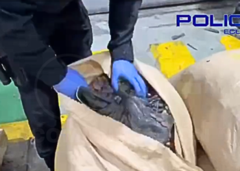 Golpe al narcotráfico en Guayaquil: Incautan más de dos toneladas de cocaína