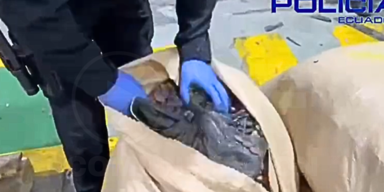 Golpe al narcotráfico en Guayaquil: Incautan más de dos toneladas de cocaína