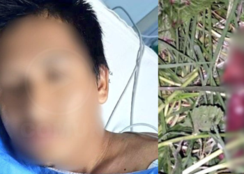 Intento de femicidio en Loja: Hombre ataca a su pareja y se autolesiona