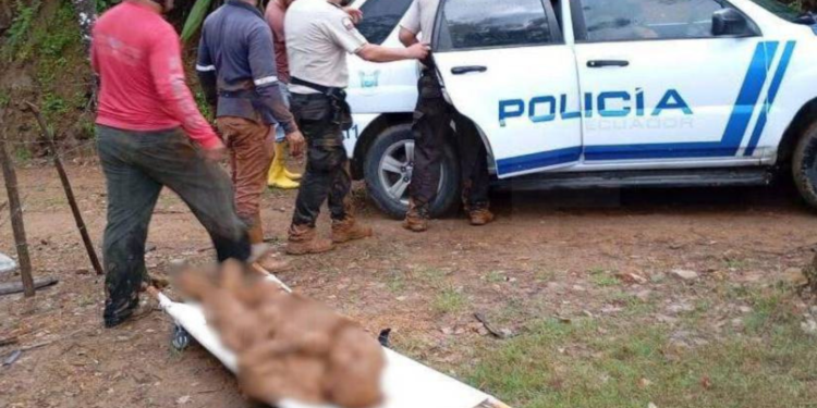 Adulto mayor sobrevive a deslave en Quilanga, Loja