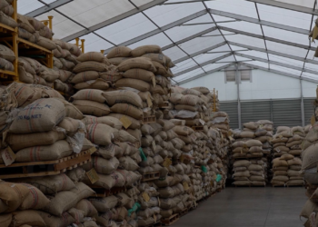 Los aranceles de EE.UU. afectan fuertemente a los fabricantes de café colombianos