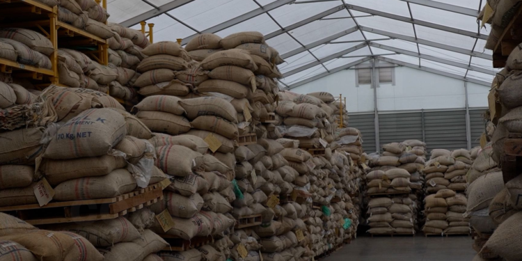 Los aranceles de EE.UU. afectan fuertemente a los fabricantes de café colombianos