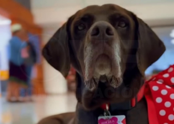 Ángela Canela: De la calle a la oficina