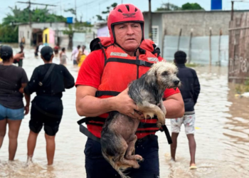 Emergencia en El Oro: Inundaciones, deslizamientos y socavones tras intensas lluvias