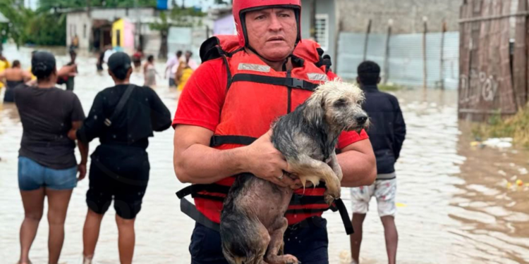 Emergencia en El Oro: Inundaciones, deslizamientos y socavones tras intensas lluvias
