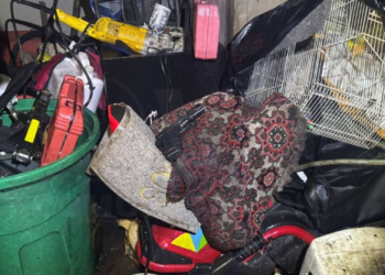 Policía detuvo a 38 personas en operativos realizados en Quito