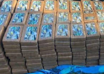 Media tonelada de cocaína oculta en tráiler fue incautada en Daule