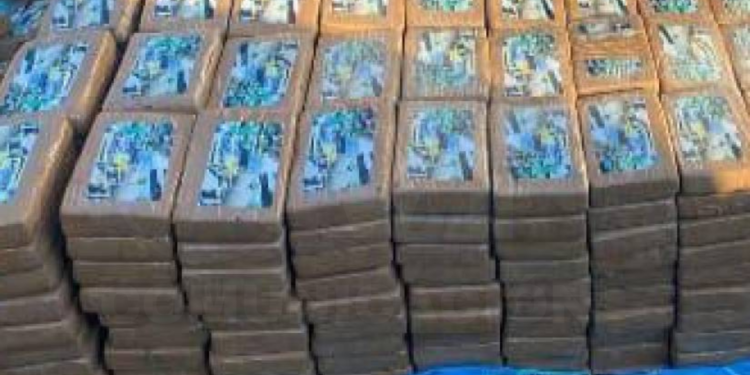 Media tonelada de cocaína oculta en tráiler fue incautada en Daule