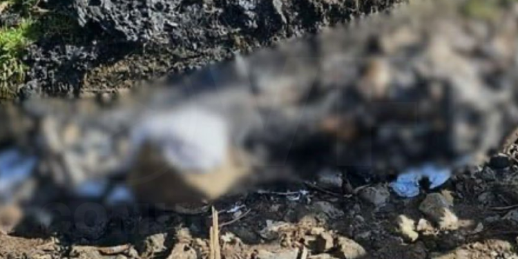 El cuerpo de una mujer fue incinerado en La Pulida, norte de Quito
