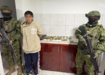 Militares decomisan marihuana en Chillogallo durante operativo de control