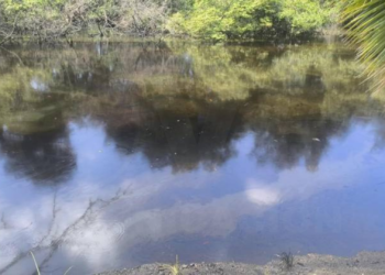 Alerta por intensa mancha de combustible en el Estero Salado de Guayaquil