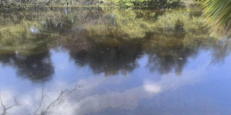 Alerta por intensa mancha de combustible en el Estero Salado de Guayaquil