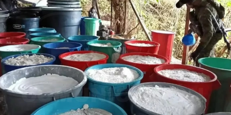 Ejércitos de Colombia y Ecuador destruyen laboratorio de cocaína en frontera común