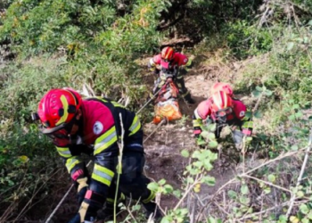 Un camión cayó 30 metros a una quebrada en Guayllabamba