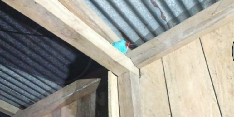 Hallan granada en vivienda abandonada de Pedernales