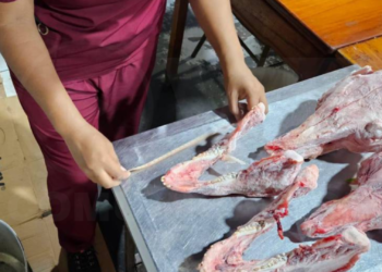 Calaveras de restaurante en Guayaquil pertenecían a cerdos