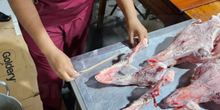 Calaveras de restaurante en Guayaquil pertenecían a cerdos