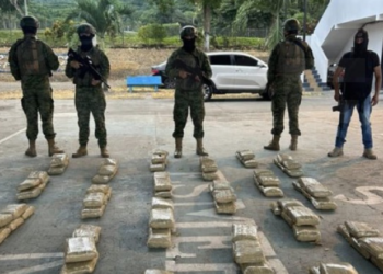 Fuerza de Tarea Conjunta incauta 150 bloques de marihuana en Esmeraldas