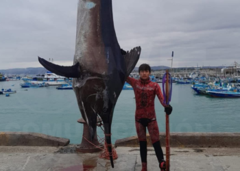 JARAMIJENSE ROMPE RÉCORD MUNDIAL TRAS CAPTURAR UN MARLIN DE 655 LIBRAS A PULMÓN LIBRE