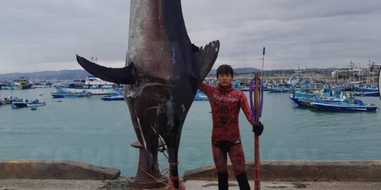 JARAMIJENSE ROMPE RÉCORD MUNDIAL TRAS CAPTURAR UN MARLIN DE 655 LIBRAS A PULMÓN LIBRE
