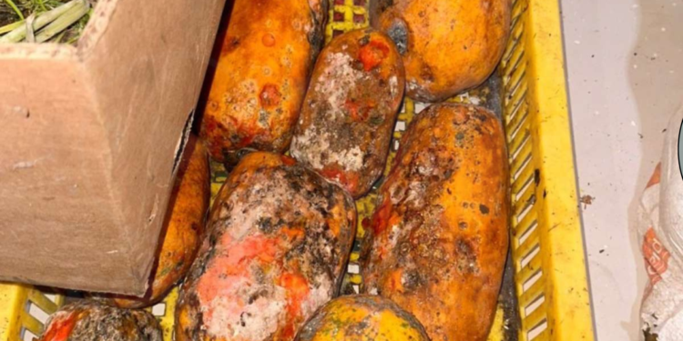 Locales clausurados en Guayas por incumplir normas sanitarias